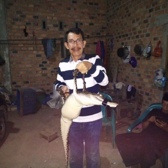 IMG-20180729-WA0081-700x700