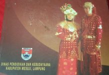 APBD Mesuji Rp 800 Lebih, Alokasi Bidang Kebudayaan Rp 500 juta!