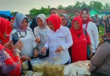 Tingkatkan Perekonomian Masyarakat melalui Pasar KWT